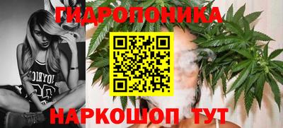 ПСИЛОЦИБИНОВЫЕ ГРИБЫ Пушкино