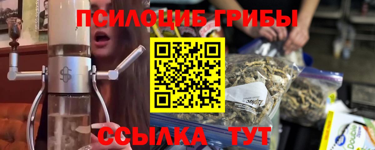 Псилоцибиновые грибы прущие грибы Обь